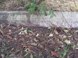 image of grave number 365886